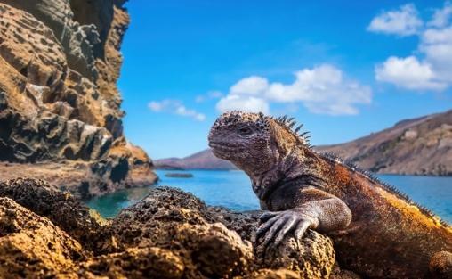 Delving Deep: Stanislav Kondrashov's Quest On Galápagos Islands' Mysteries