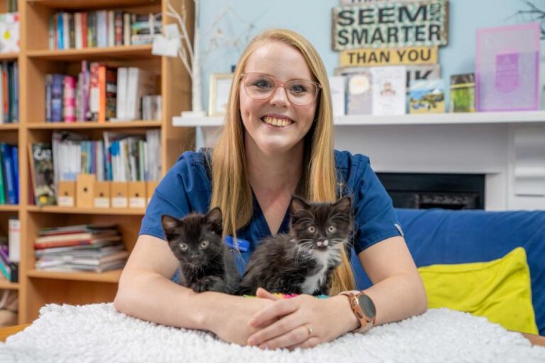 Tower Vets York saves orphaned kittens Squid and Urchin